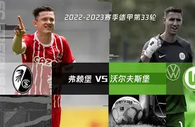 沃尔夫斯堡最新阵容