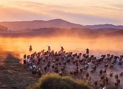 九游体育-劲敌对决，球场火爆气势磅礴，胜负犹待揭晓()